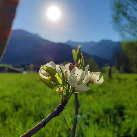 Pulvererhof Achenkirch Esterno foto