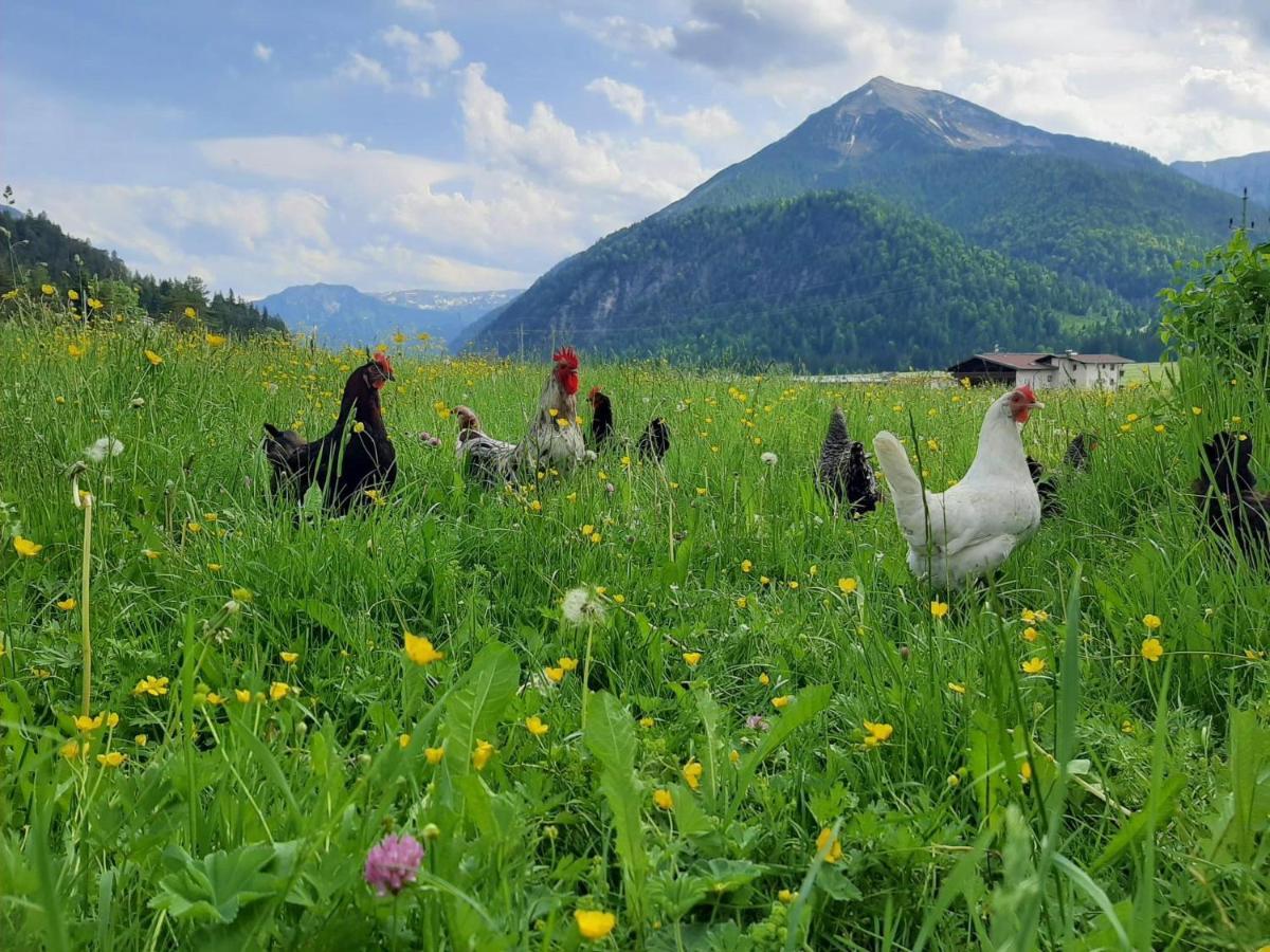 Pulvererhof Achenkirch Esterno foto