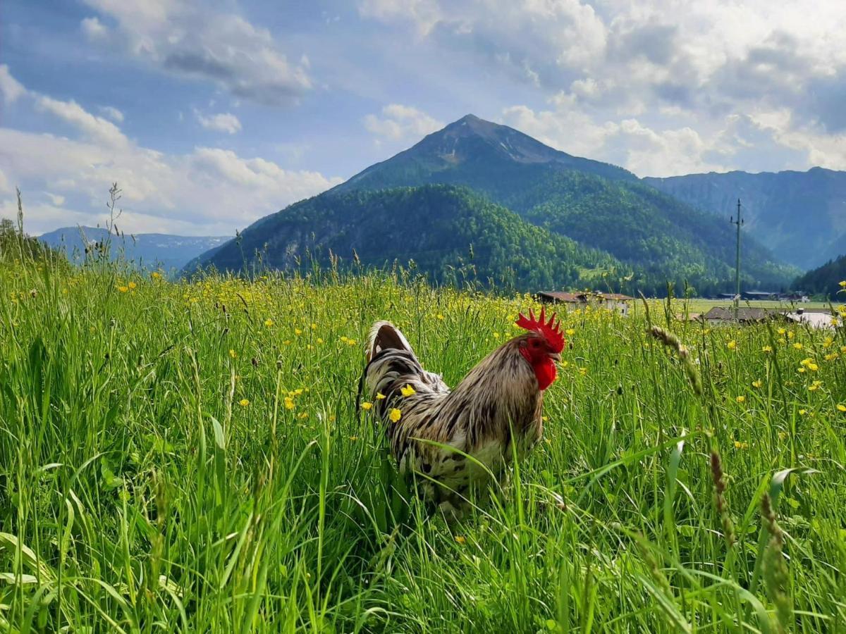 Pulvererhof Achenkirch Esterno foto