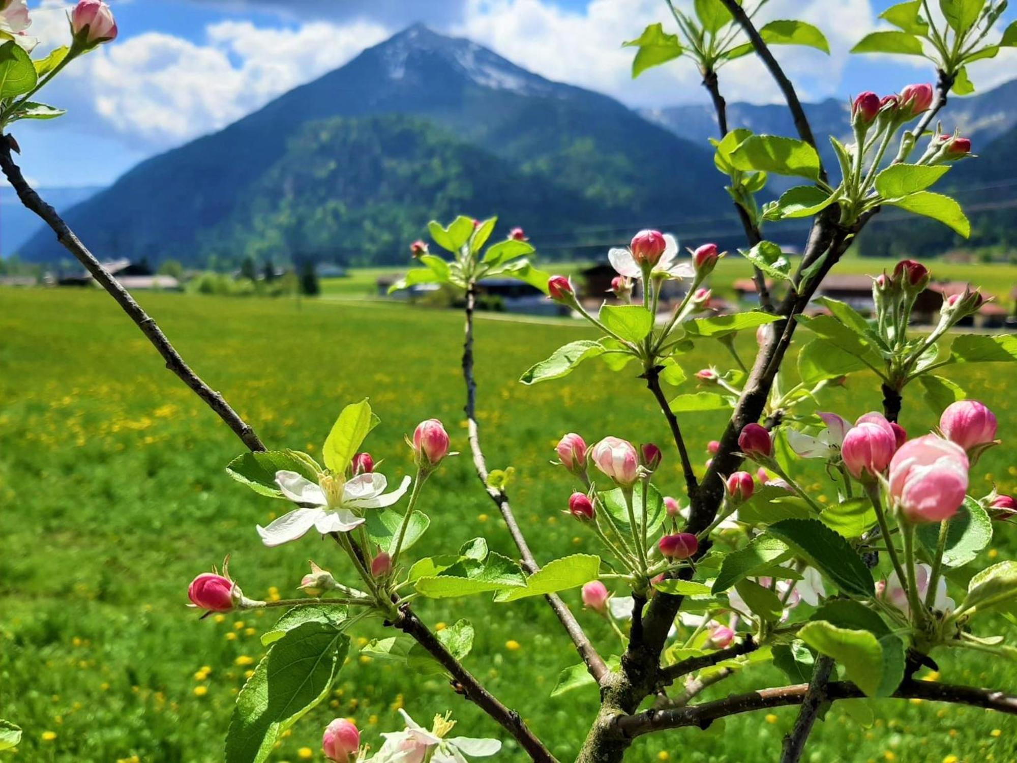 Pulvererhof Achenkirch Esterno foto