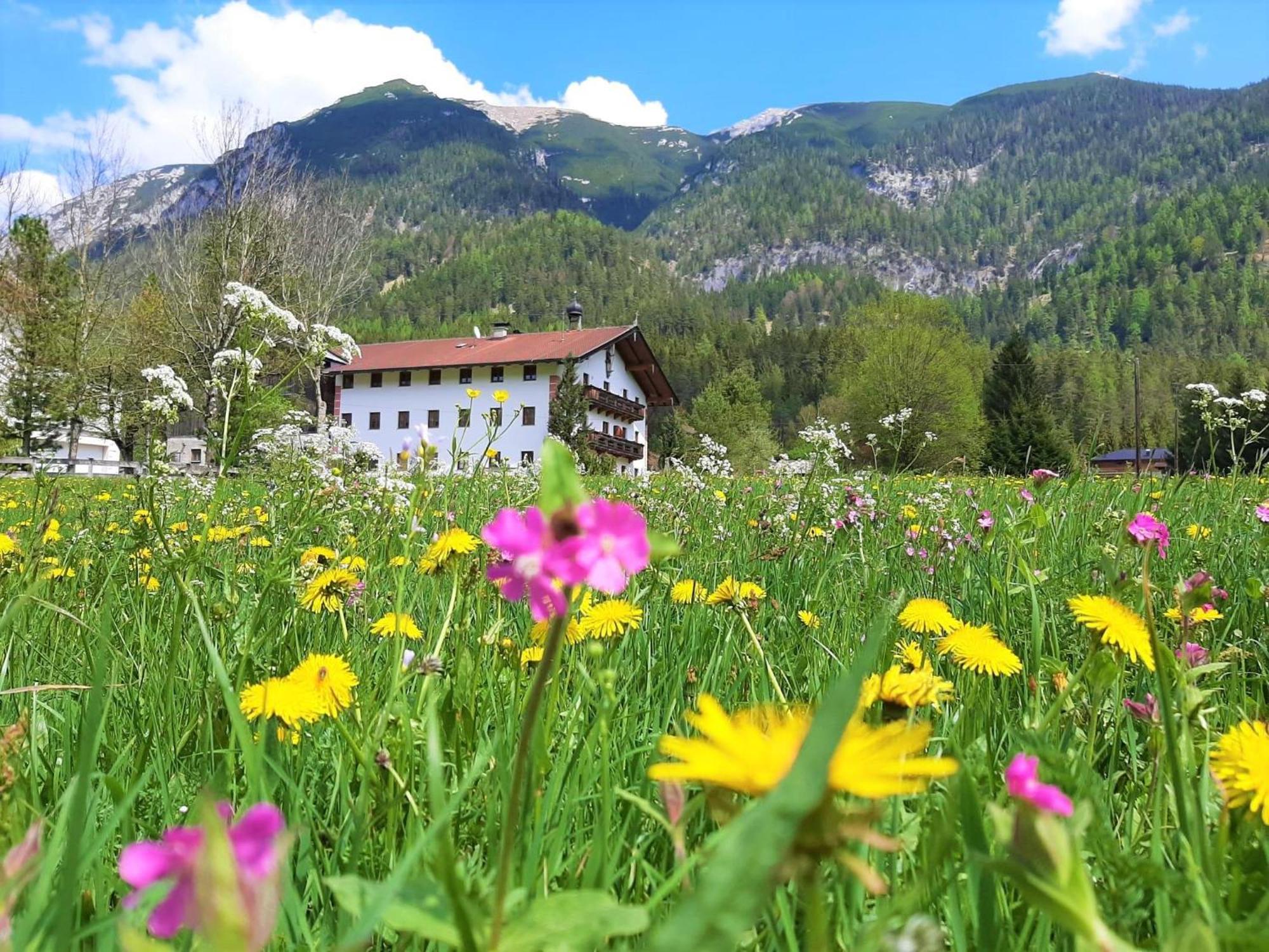 Pulvererhof Achenkirch Esterno foto