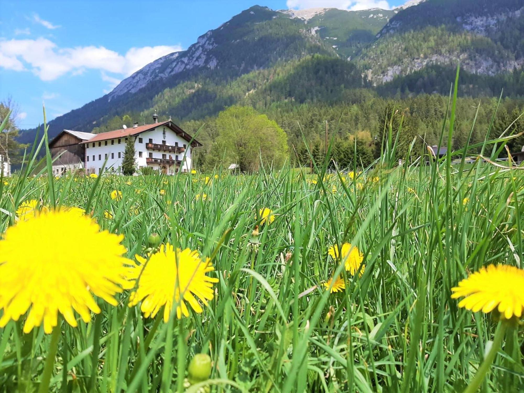 Pulvererhof Achenkirch Esterno foto